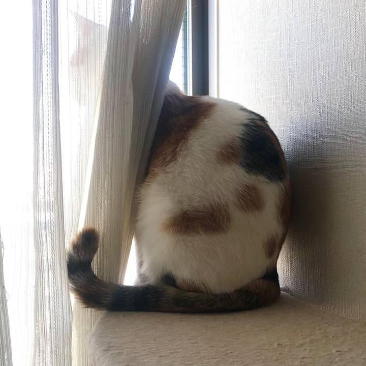 Bf93ed68 4eee 4374 8fe9 4b0df81345ed 1586819831209