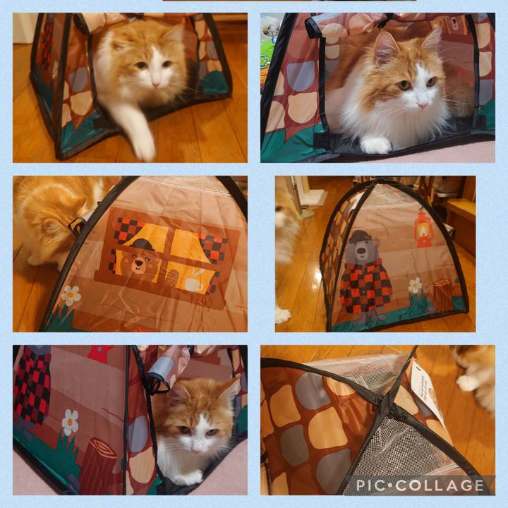 Bf942a43 a8d5 4b18 8683 e707b9985652 1650793138974