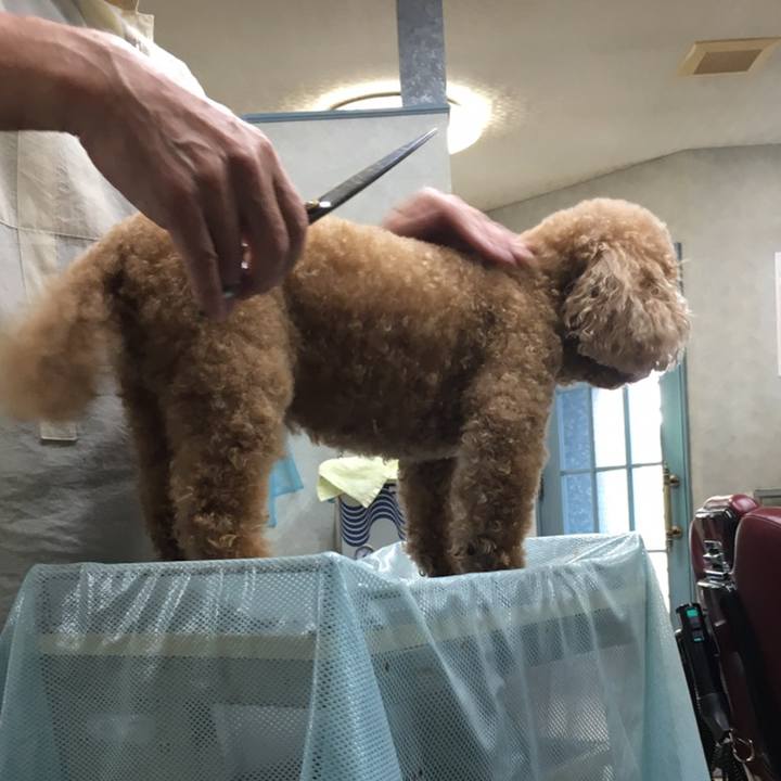 Bf942bbc 9ee5 4c31 b712 dae60e0349f7 1576138600533