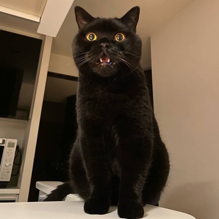 Bf94570e 3725 40f0 b852 be41d86a6b36 1755516795498