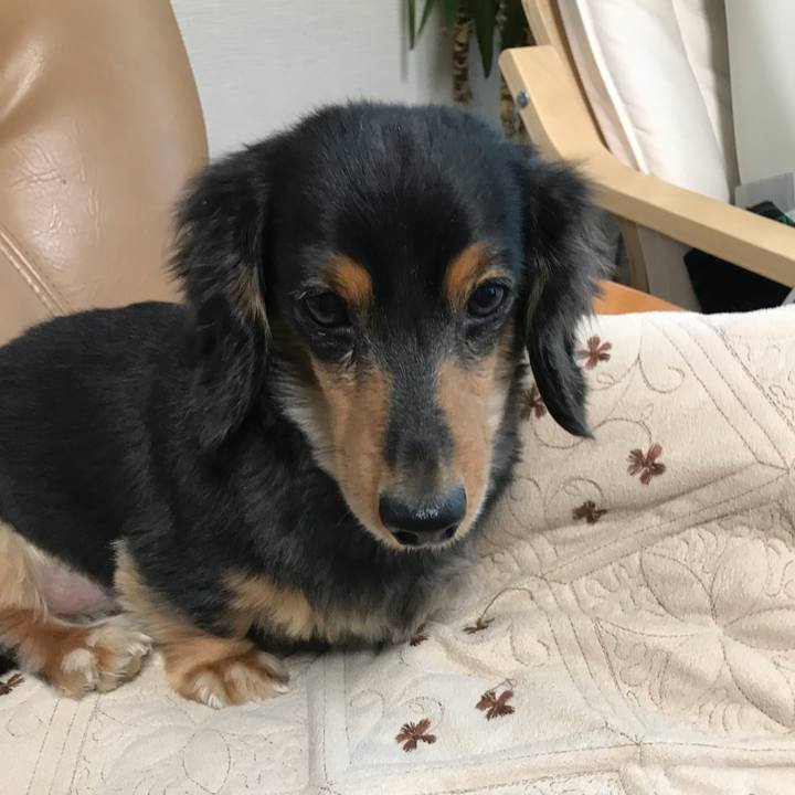 Bf949361 e5cb 4afa 91ff 8ce35b9ca693 1510696112063