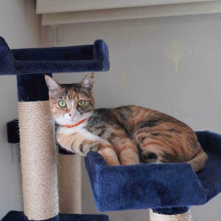 Bf94b25f ae88 4997 9880 fdc20d9908af 1608474377426