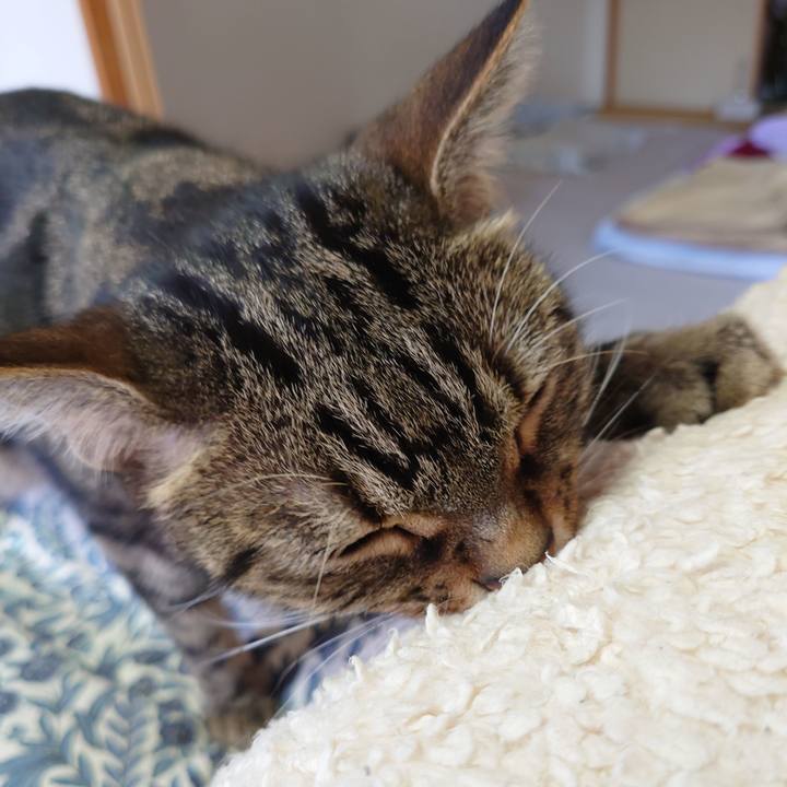 Bf94c93c 7988 4f37 a3fb 6b301b4df11c 1646795918899