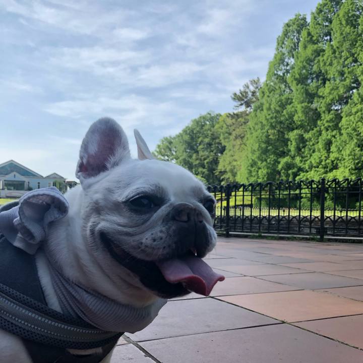 Bf94c9da b94c 49e0 8929 e76af17882f2 1683253125571