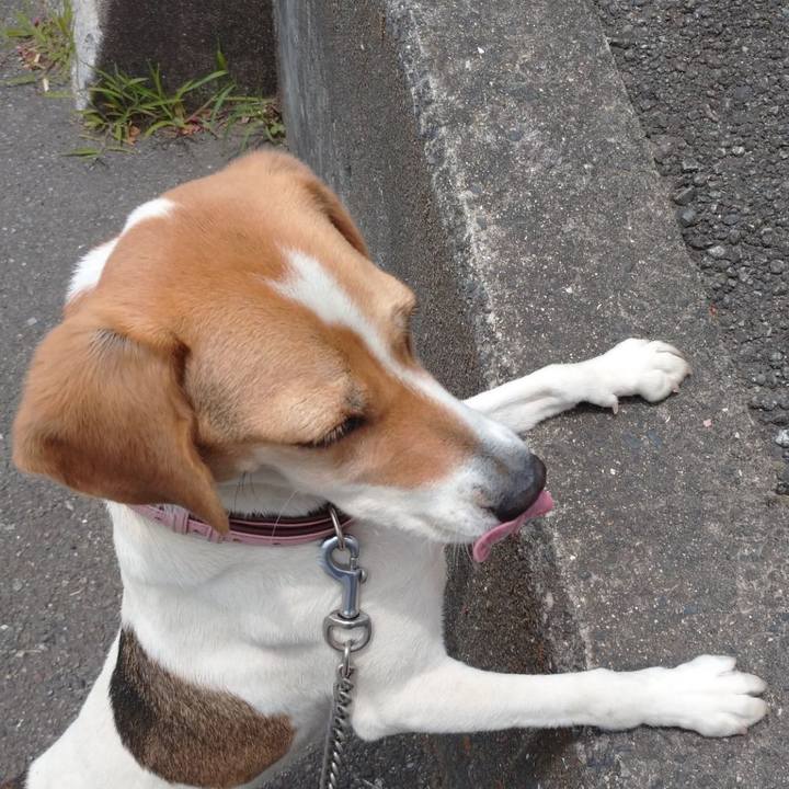 Bf94f228 fa4d 4443 9c67 bd89be07de27 1591165169630