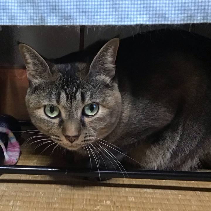 Bf956826 5abe 4985 9ad1 89c2ab1575cf 1728630936750