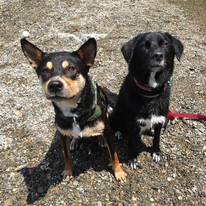 Bf956937 fb04 44f2 9404 a3b37fcfcf50 1534249766425