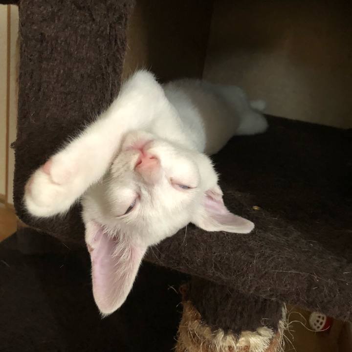 Bf957767 a661 4ee5 b745 3173b39f8847 1534579214269