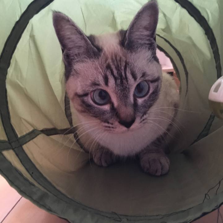 Bf958669 3b7a 43ae 8acd 5db07e4ca765 1552379866382