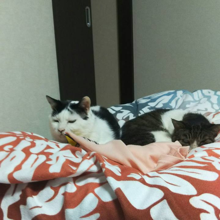 Bf959c5d 749c 4a97 8fd1 8282339a5c7f 1540383680404