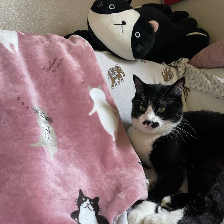 Bf95a593 7fd3 4396 8e88 13d28d89d512 1681706202712