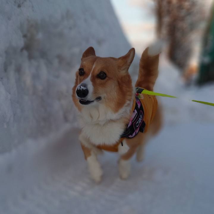 Bf95c1f0 10d1 45ff bf3f c9c4658db272 1771285604713