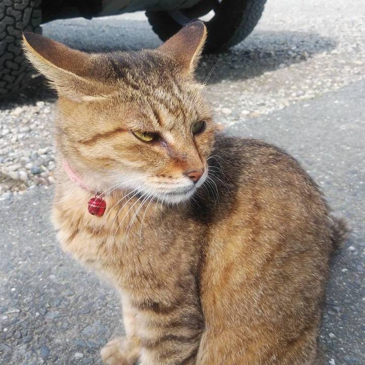 Bf962100 70a3 4aa5 8474 1d7317bb8285 1568939217311