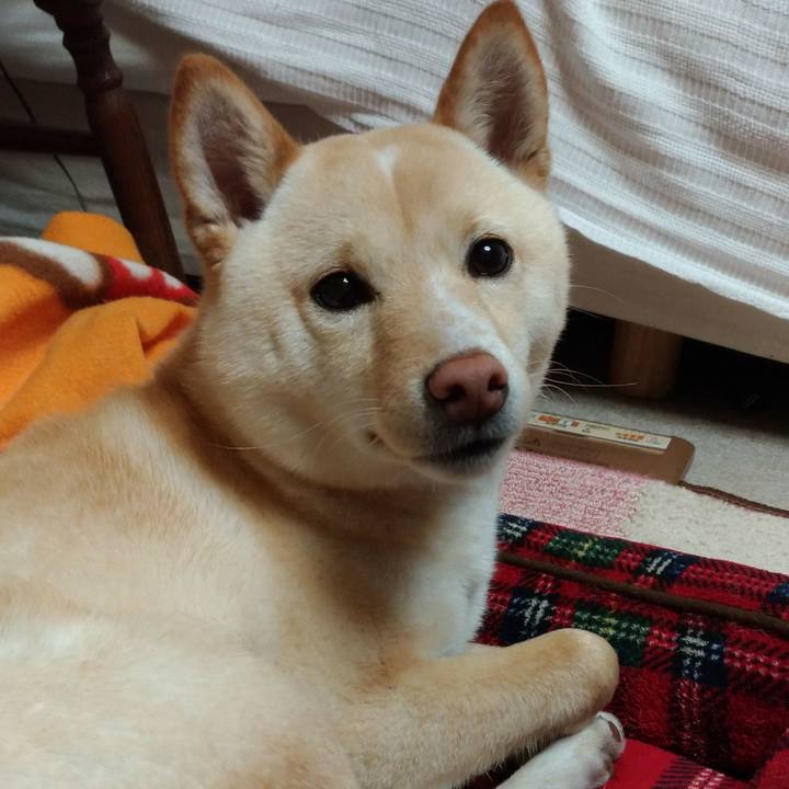 Bf964cec 23d1 4a5f bdf9 3e7b1c42c0c1 1521111632206