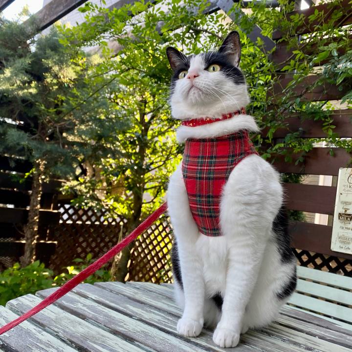 Bf966ac8 fed9 4e9f b693 01f1674464c2 1682900799631