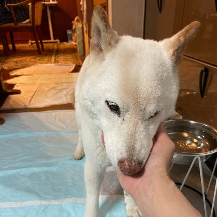 Bf96d923 d5a2 4867 a844 bc72e385ccd1 1634217232324