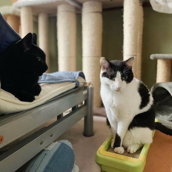 Bf96e1c4 e32a 4aa2 a8e6 040e4c95ef42 1599099738632