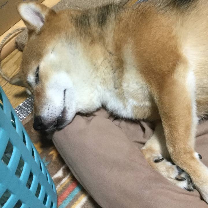 Bf96f3c8 380b 4333 914f a57ca0febf7e 1561468877230