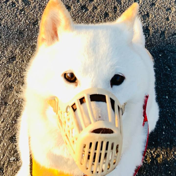 Bf9727b0 ea70 4dd9 9731 6bcb2374ad63 1619642296090