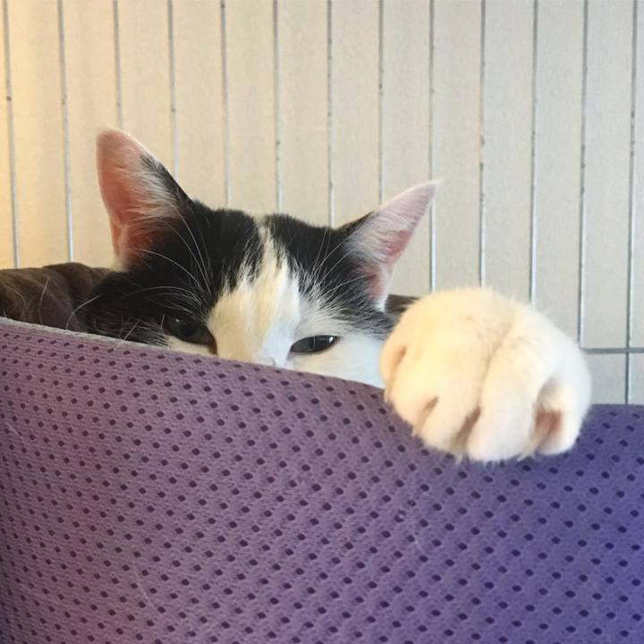 Bf975c76 85c4 48b5 8eb3 a459449f03a2 1583328614498