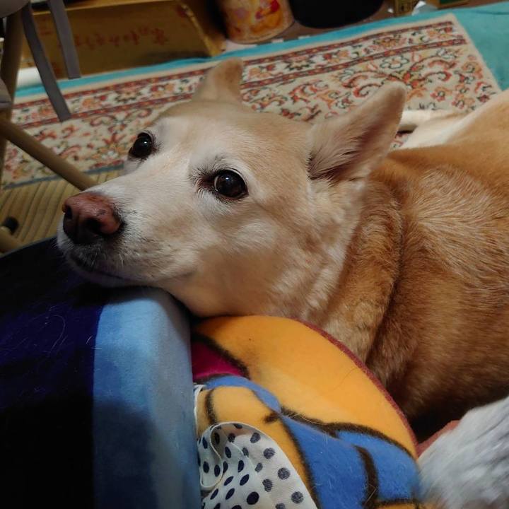 Bf9778e4 2403 4ae6 8a2c 9c596669f8dc 1735718846234