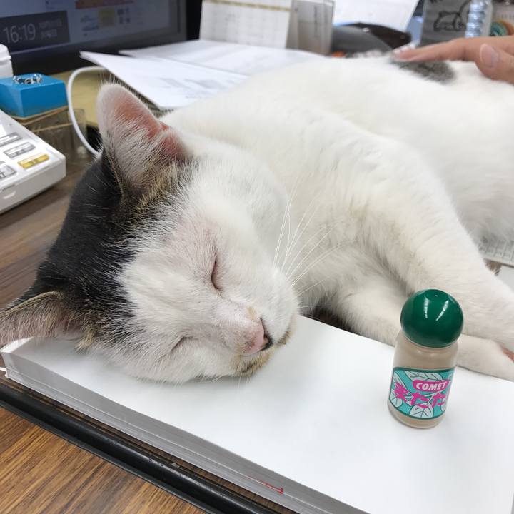 Bf9789d9 cdd8 4afb 8c98 a49b763a14b7 1509434480348