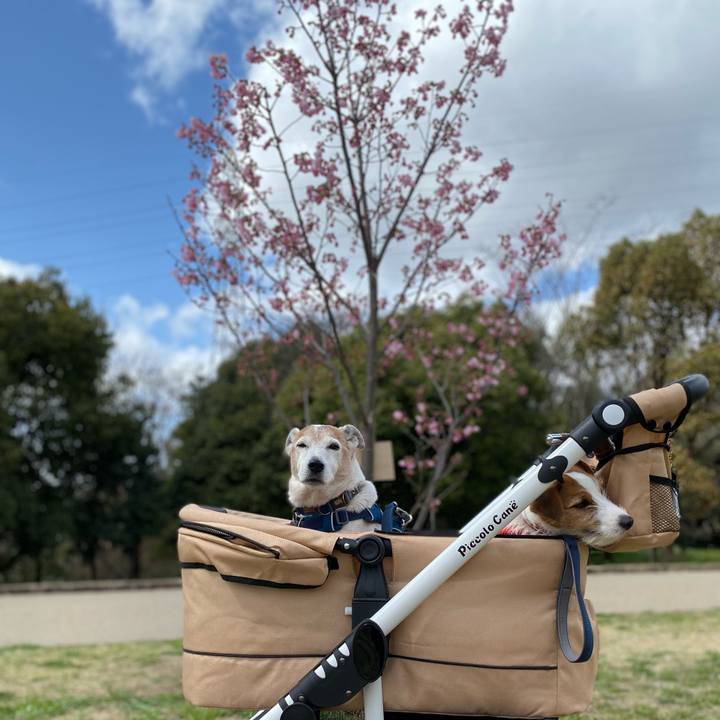 Bf97a59f e1cf 4b70 a910 1db8f59e0eed 1647744787079