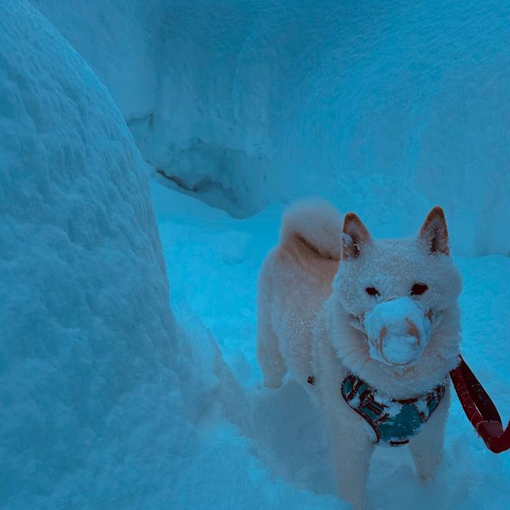 Bf981134 a232 4e5d 8430 1a1b151f9853 1740262936876