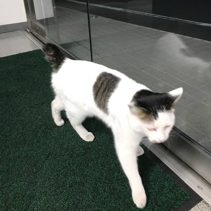 Bf982742 a811 49ce a978 db73c76b4cd4 1515658109472