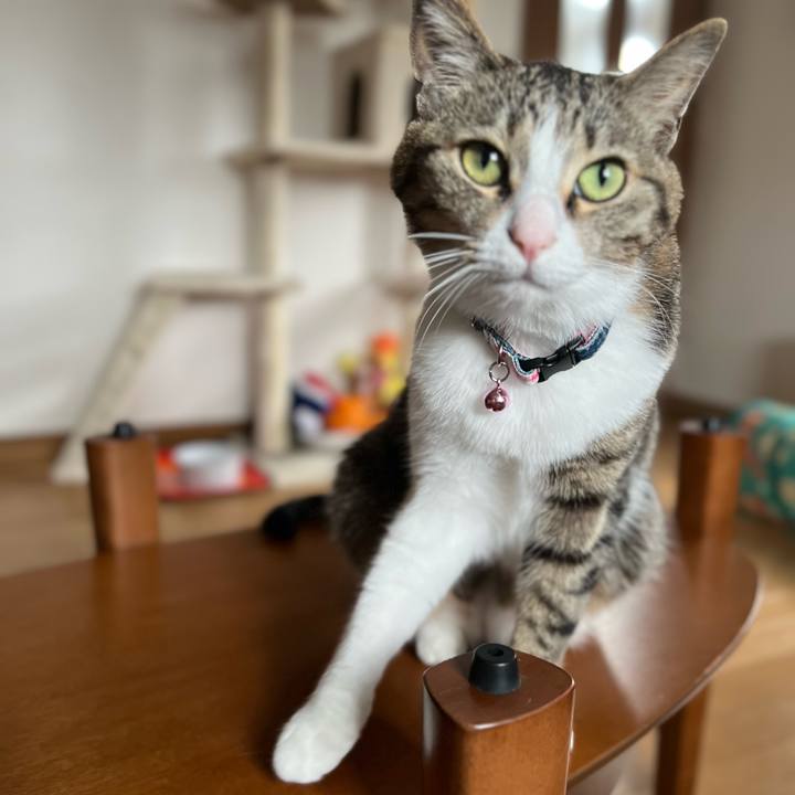 Bf983a48 91f7 4aad 87df 6486c10e3bfa 1721431632390