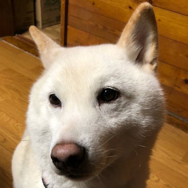 Bf983e47 a596 4157 ad41 37be44a3608b 1610965647435