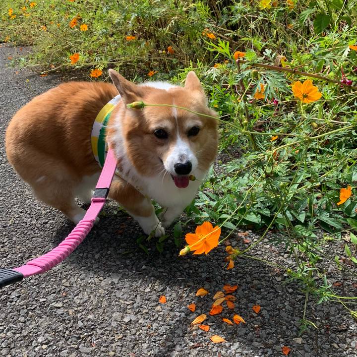 Bf98cd5a 1d18 4f61 9fa1 67856226a914 1696479011856