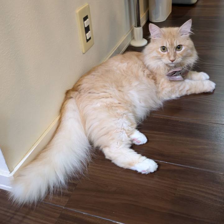 Bf98d625 1b9b 456b 8804 cc00c6e13a62 1726482814086