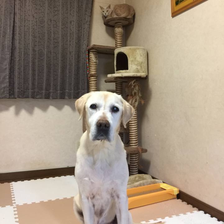 Bf991edf 0b0e 4051 bf98 c80a535aa62a 1568975869460