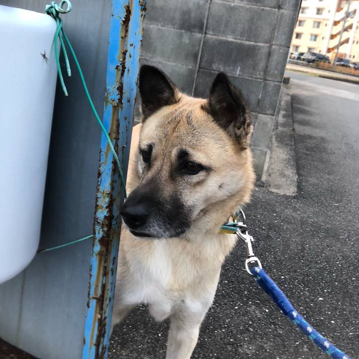 Bf9920e2 5745 406b 8af7 8754e8e9d33d 1575633125610