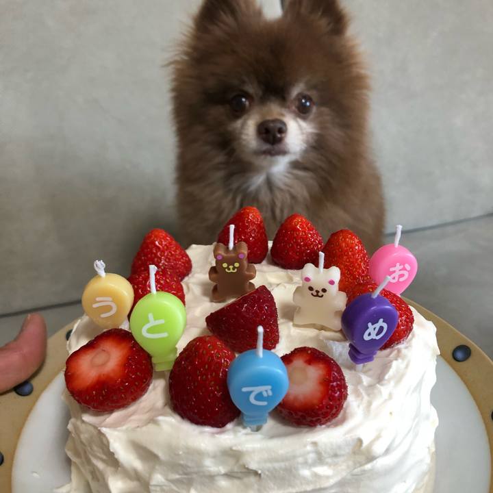 Bf994bc4 93ca 40fd b649 5cd1a9854e3a 1620197318594