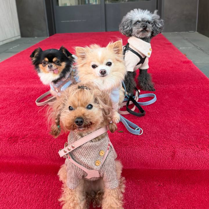 Bf995075 ca99 4292 9bfc 273e67f6eb4b 1772666675784