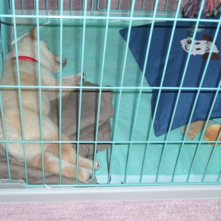 Bf99538e 1696 4cfd a376 258408aebb44 1648724406677