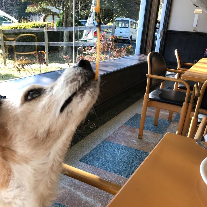 Bf998eaf 6e47 4bdb 9535 2424b1ae76f9 1512305292225