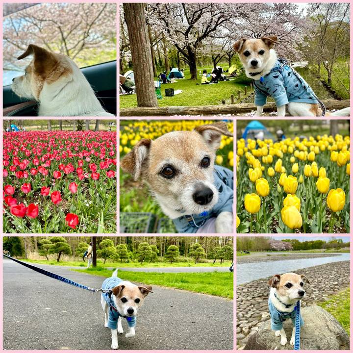 Bf999d94 1023 43d6 b475 14a1d261bd98 1680413440784