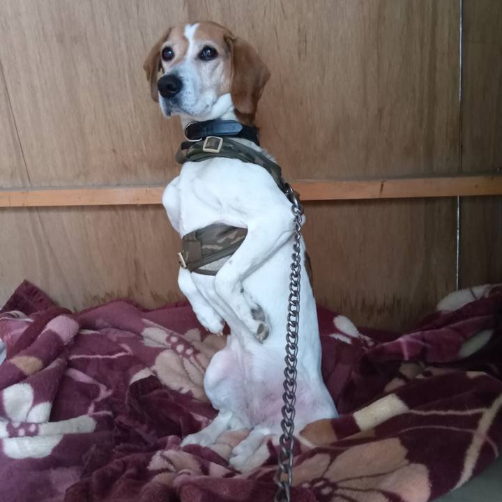 Bf999dd2 b0c0 40f2 b06c 32057f3e7d86 1741851628029