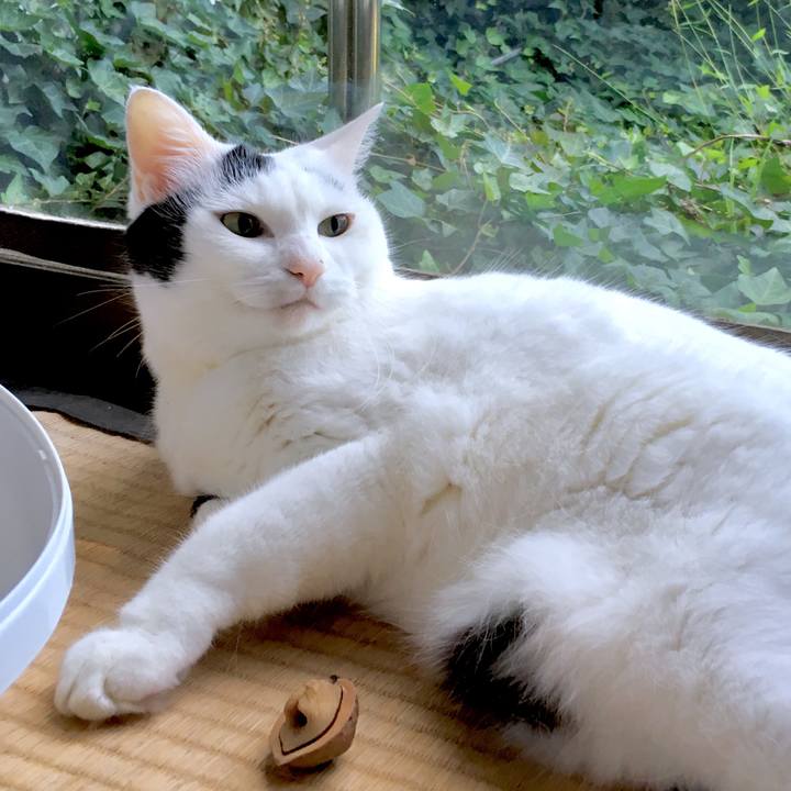 Bf9a0728 37e0 425e 93b2 aca620805877 1569995529080