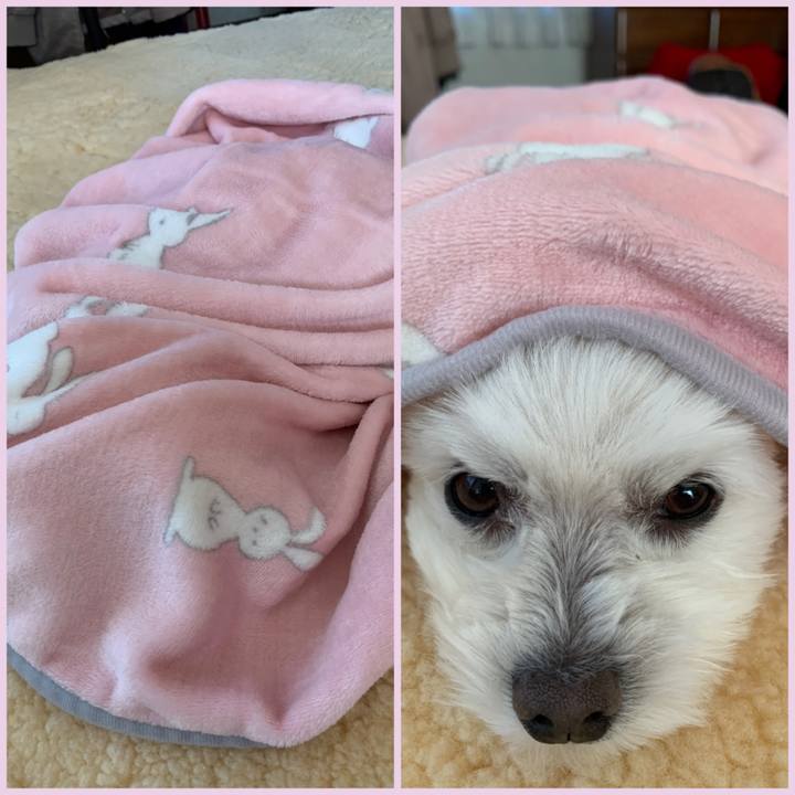 Bf9a2134 dacf 4d02 9f52 19b6ce77c238 1636758924107