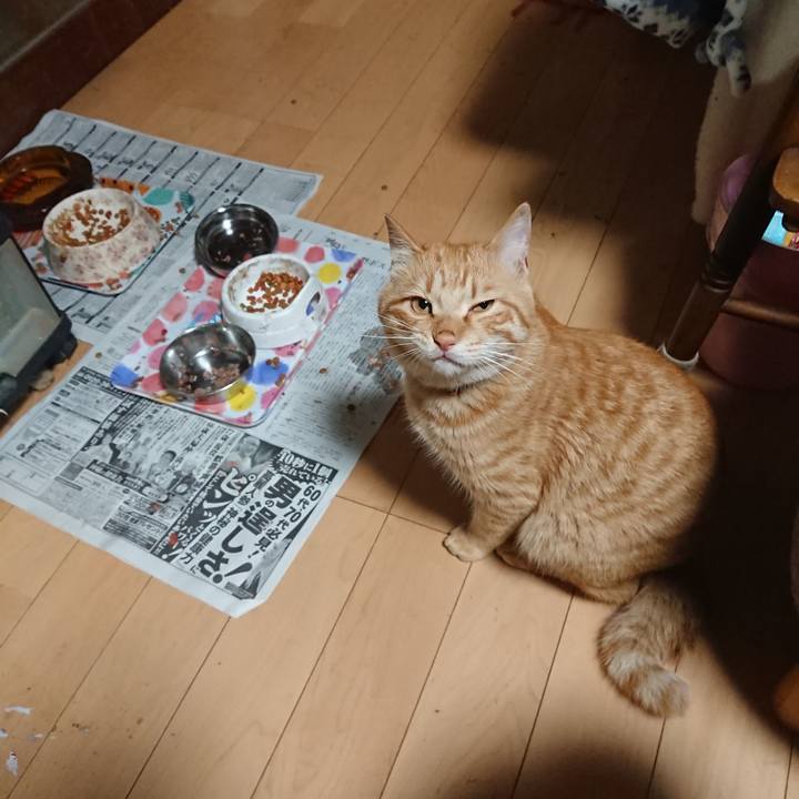 Bf9a25ed ae82 4a03 a132 cc733f26a63a 1650977627911