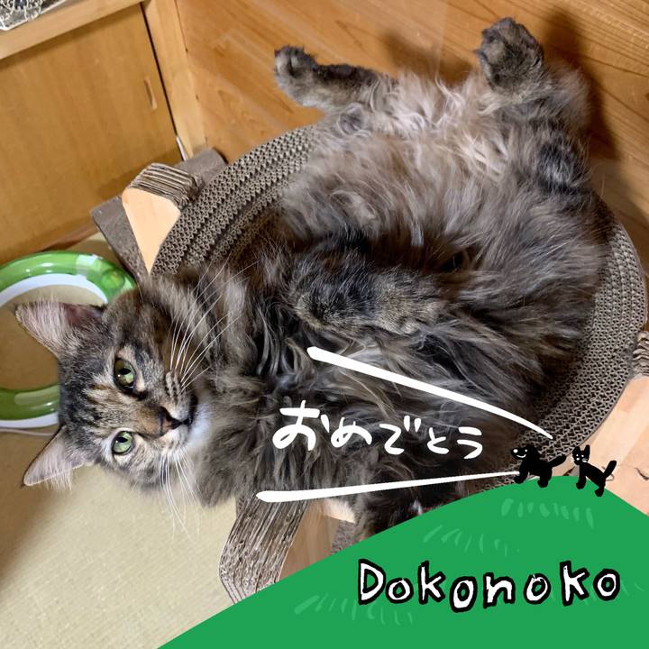 Bf9a5277 e765 4ce7 b9ba f99f0de07035 1685934605447