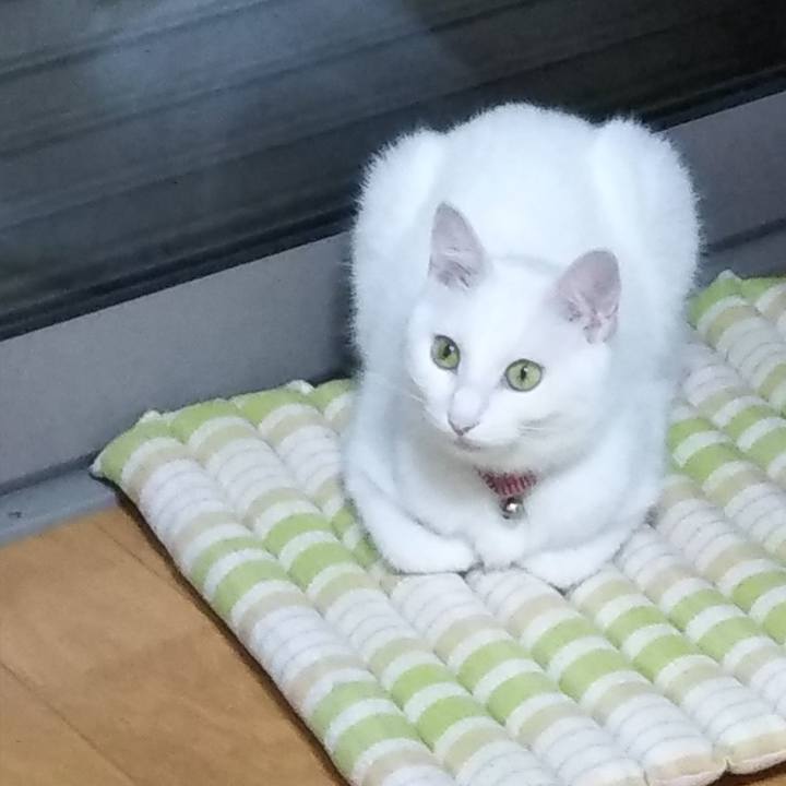 Bf9a9302 e455 48db 975f 8d549c8afffd 1628887556053