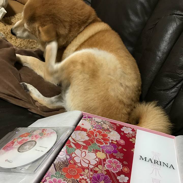 Bf9af397 f898 41ca a5bd c429c0ae6e67 1516665347848