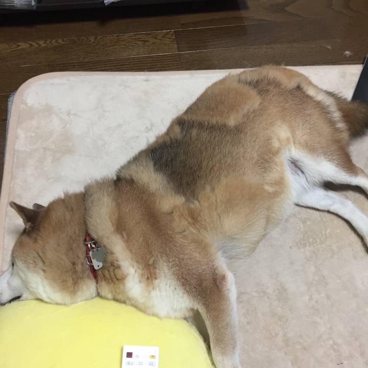 Bf9b0b1f a141 4091 9cec 4c8cf77b04d0 1532864198922