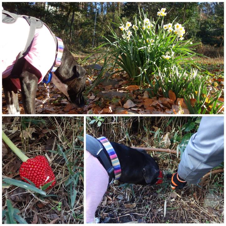 Bf9b2492 94c3 47be b6c4 3d6df0be7dc4 1639961160431