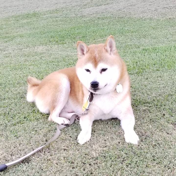 Bf9b3da1 9c24 452c 9015 4b64c22c256d 1632467071991